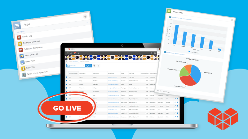 How long does it really take to go live with Kintone?
